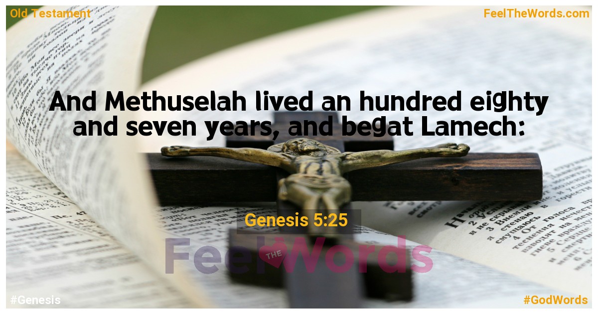 Genesis 5:25