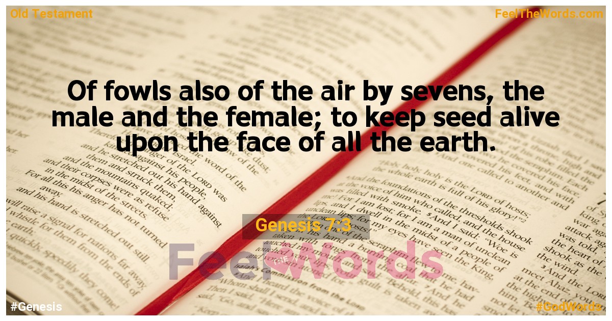 Genesis 7:3