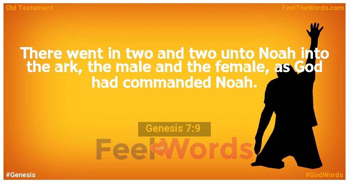 Genesis 7:9