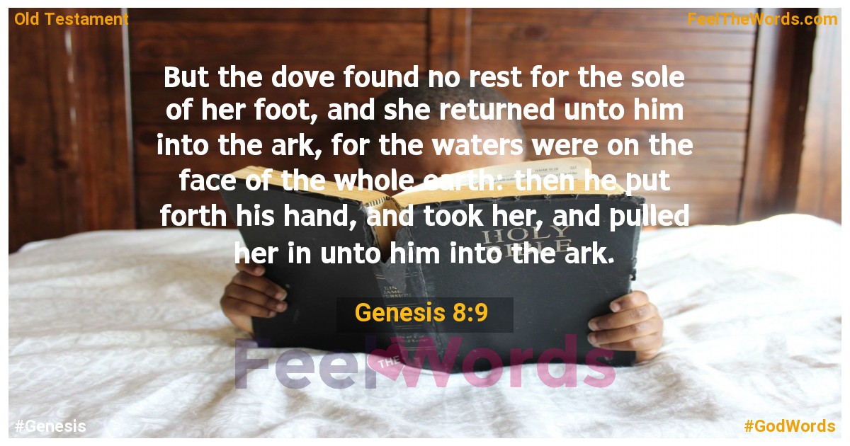 Genesis 8:9