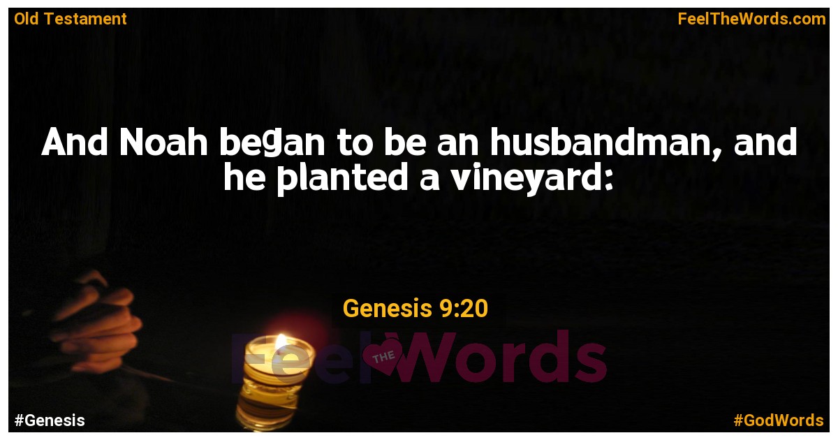 Genesis 9:20