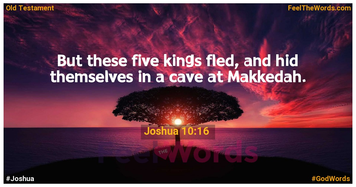 Joshua 10:16