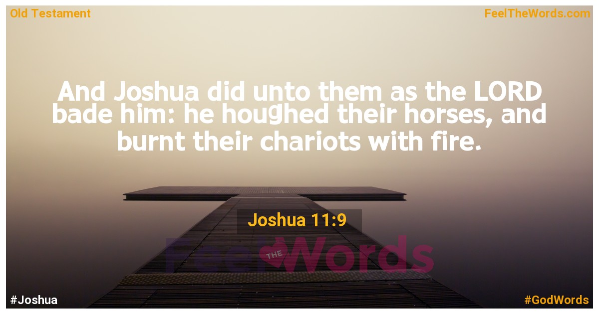 Joshua 11:9