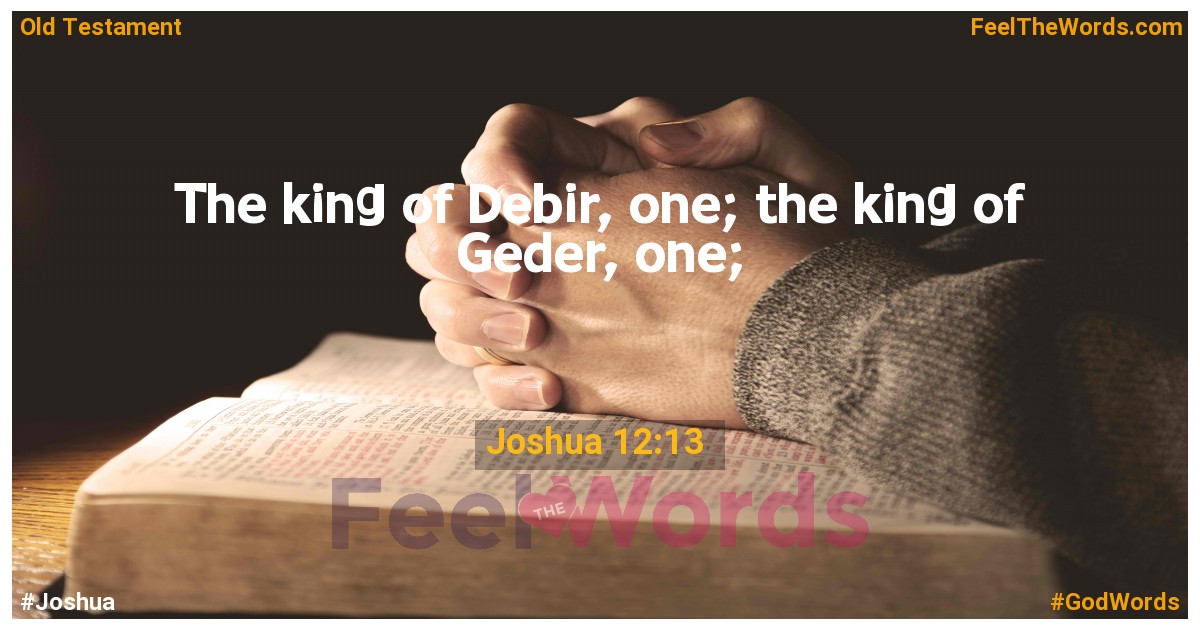 Joshua 12:13