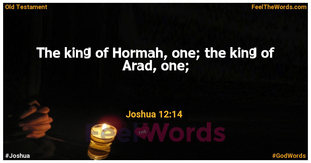 Joshua 12:14