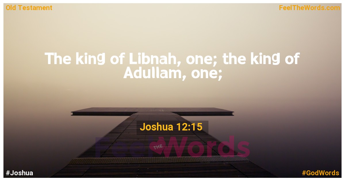 Joshua 12:15