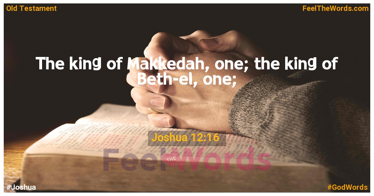 Joshua 12:16