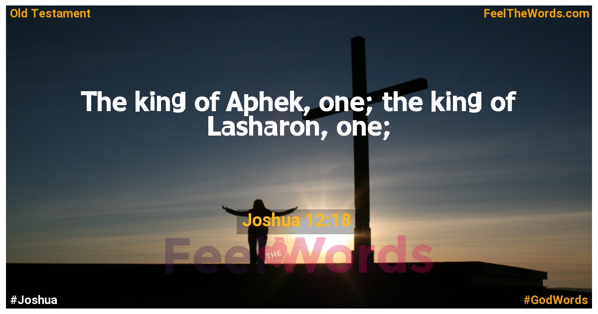 Joshua 12:18