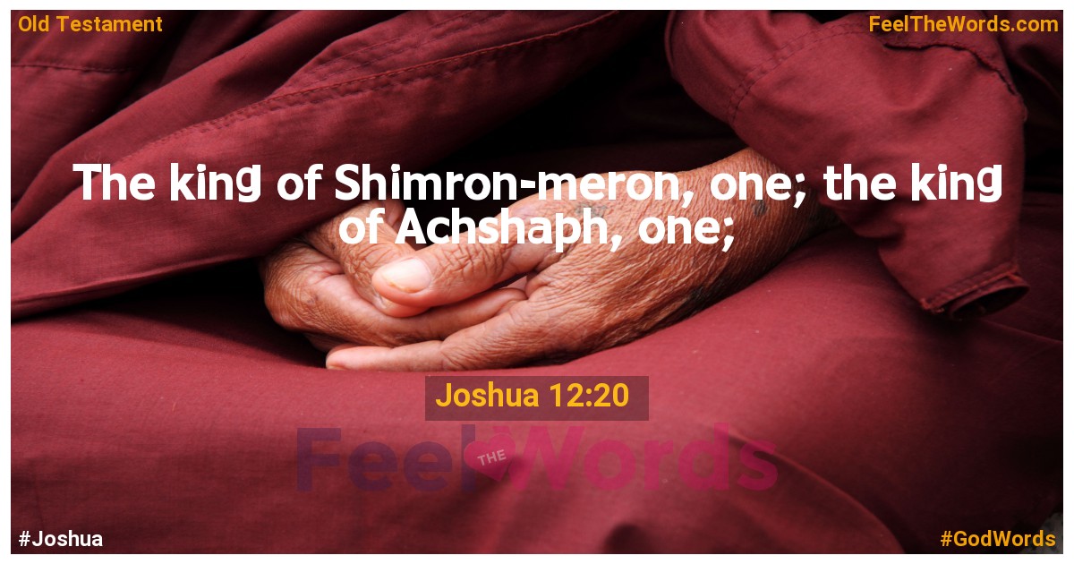 Joshua 12:20