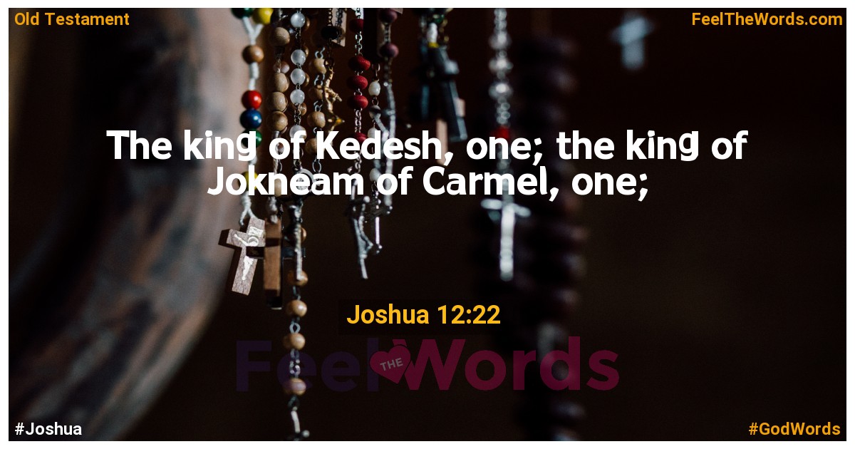 Joshua 12:22