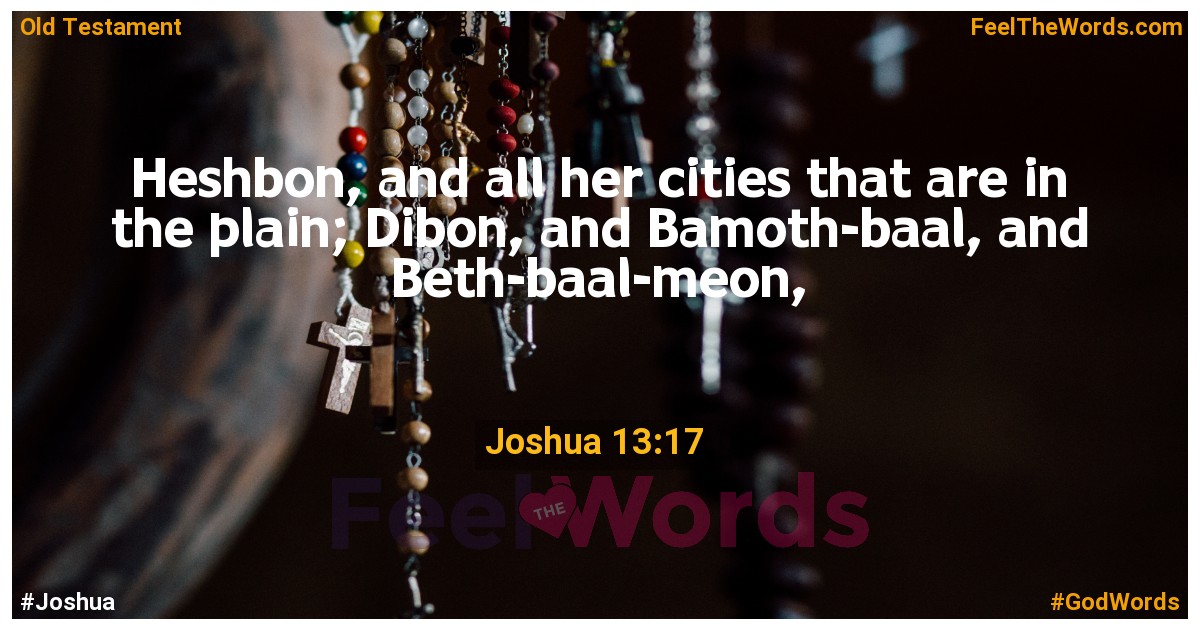 Joshua 13:17