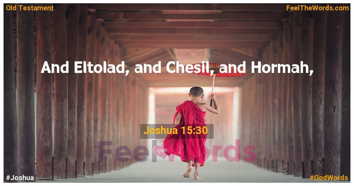 Joshua 15:30