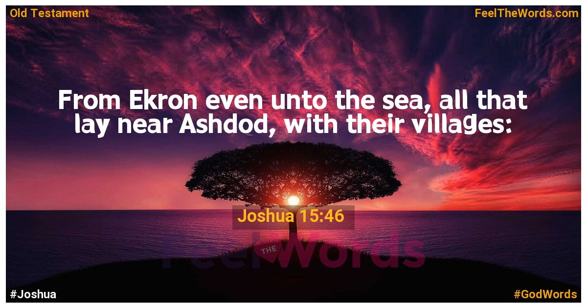 Joshua 15:46