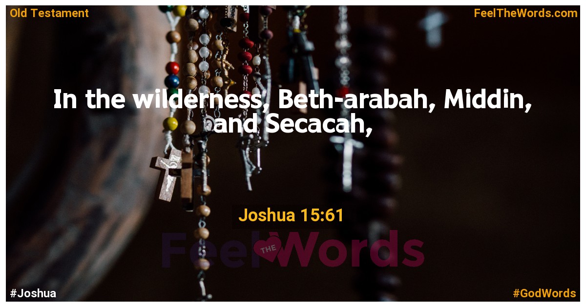 Joshua 15:61