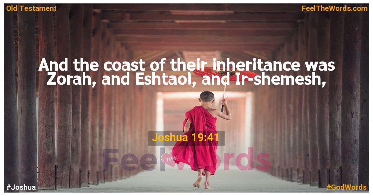 Joshua 19:41
