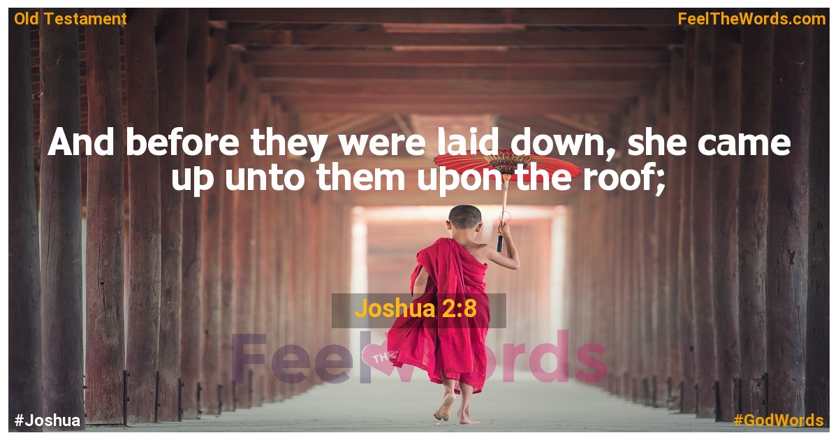 Joshua 2:8