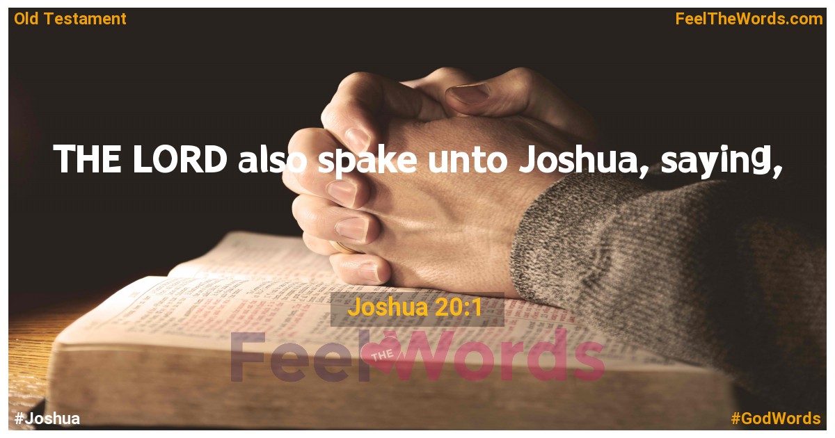 Joshua 20:1