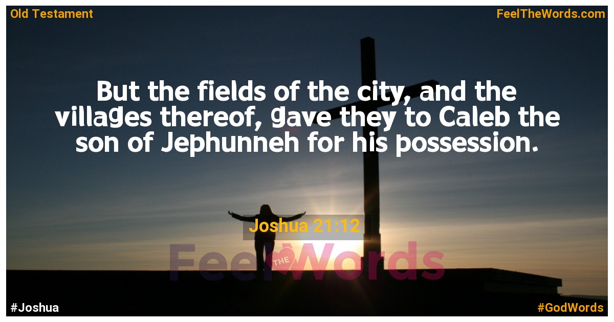 Joshua 21:12