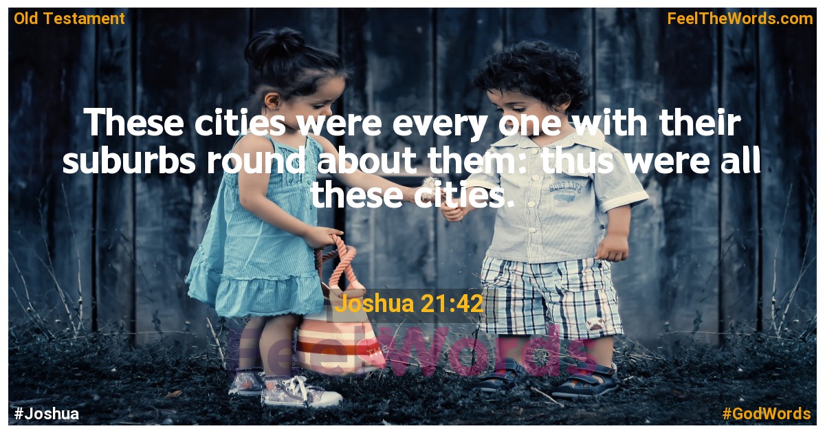 Joshua 21:42