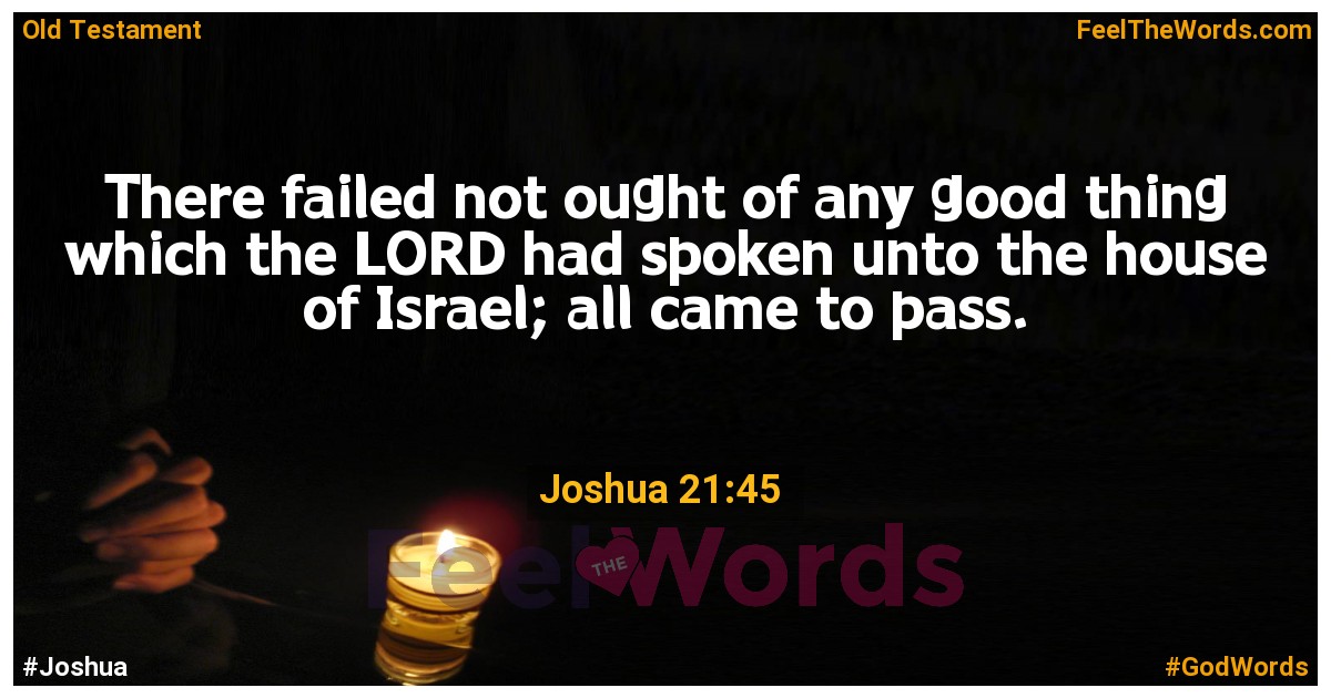 Joshua 21:45