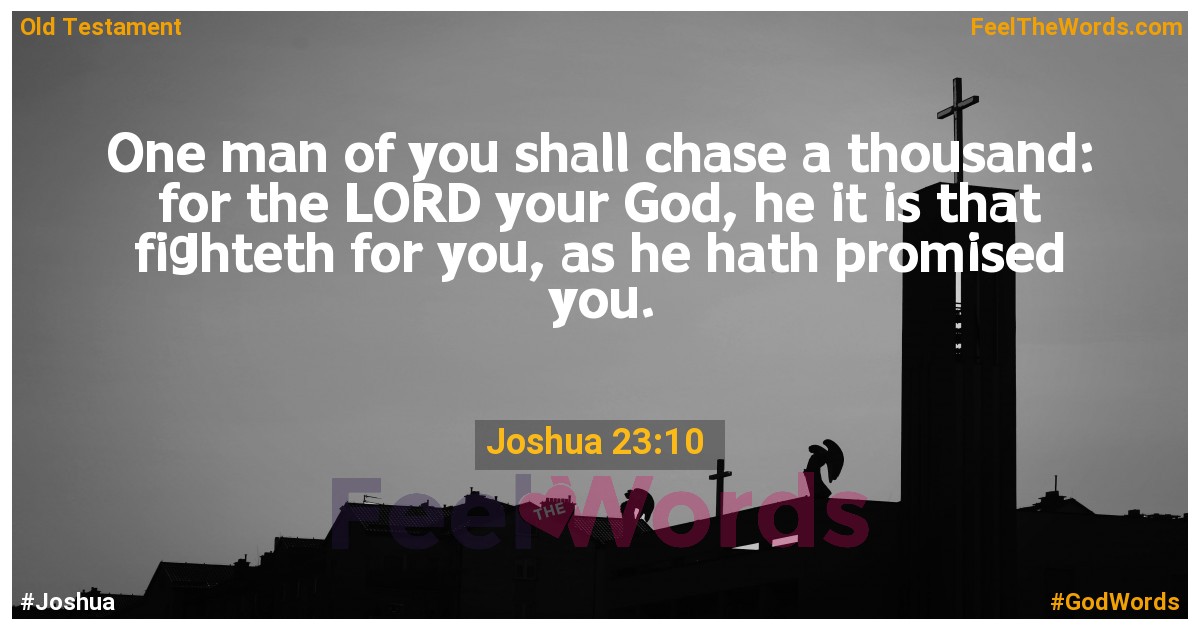 Joshua 23:10