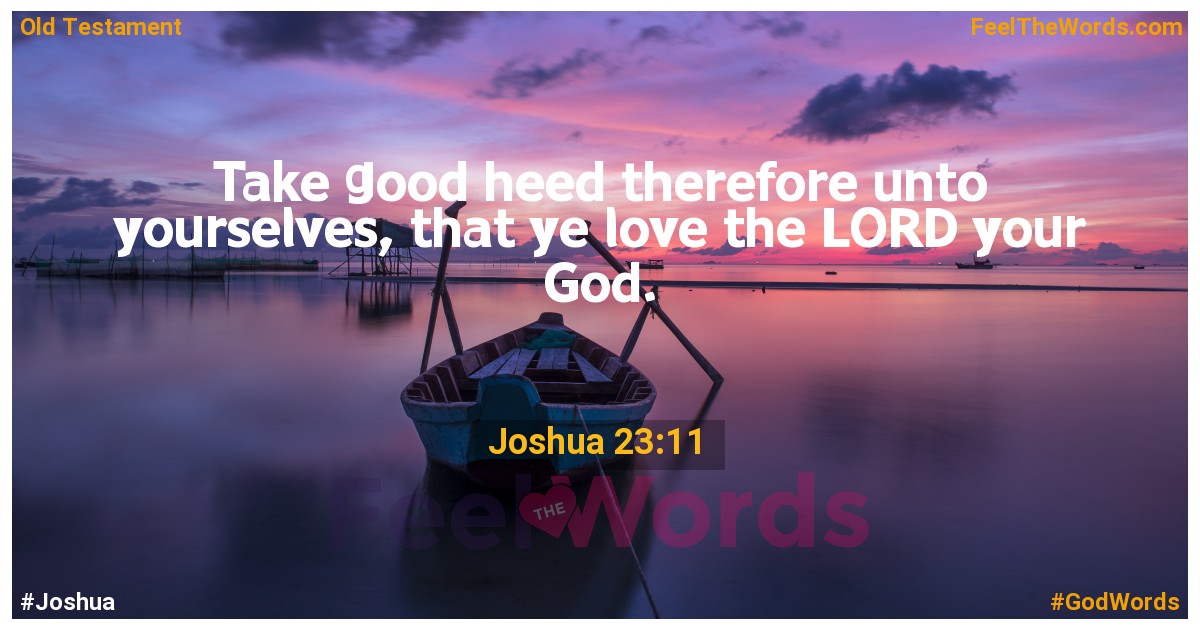 Joshua 23:11