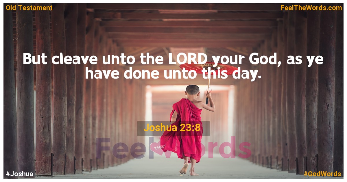 Joshua 23:8