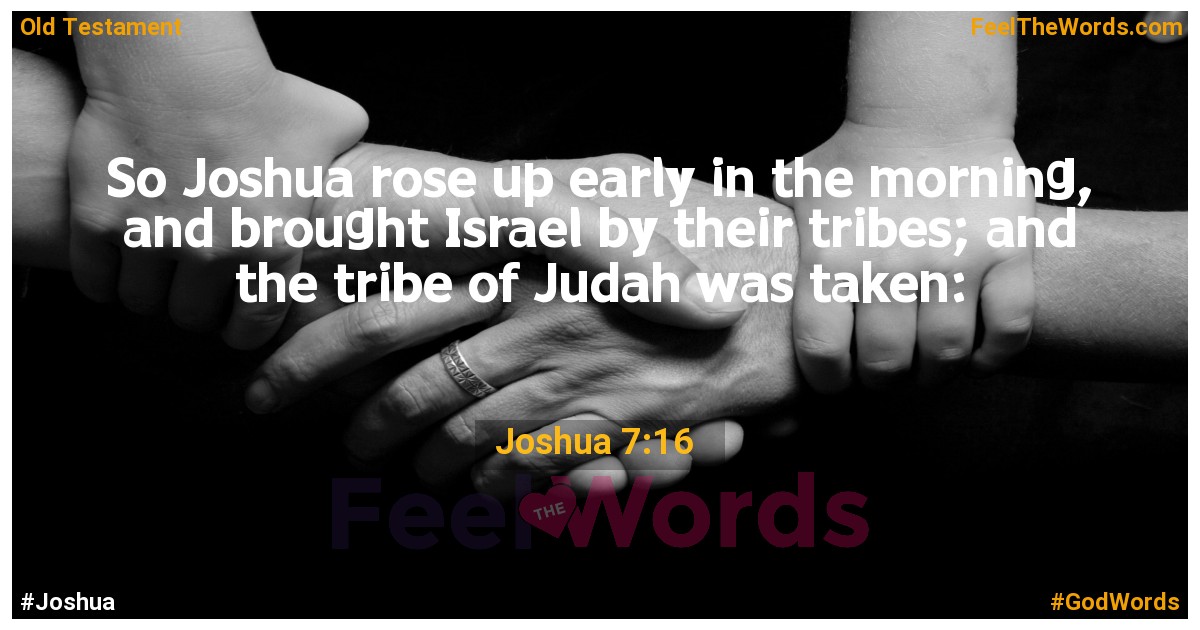 Joshua 7:16