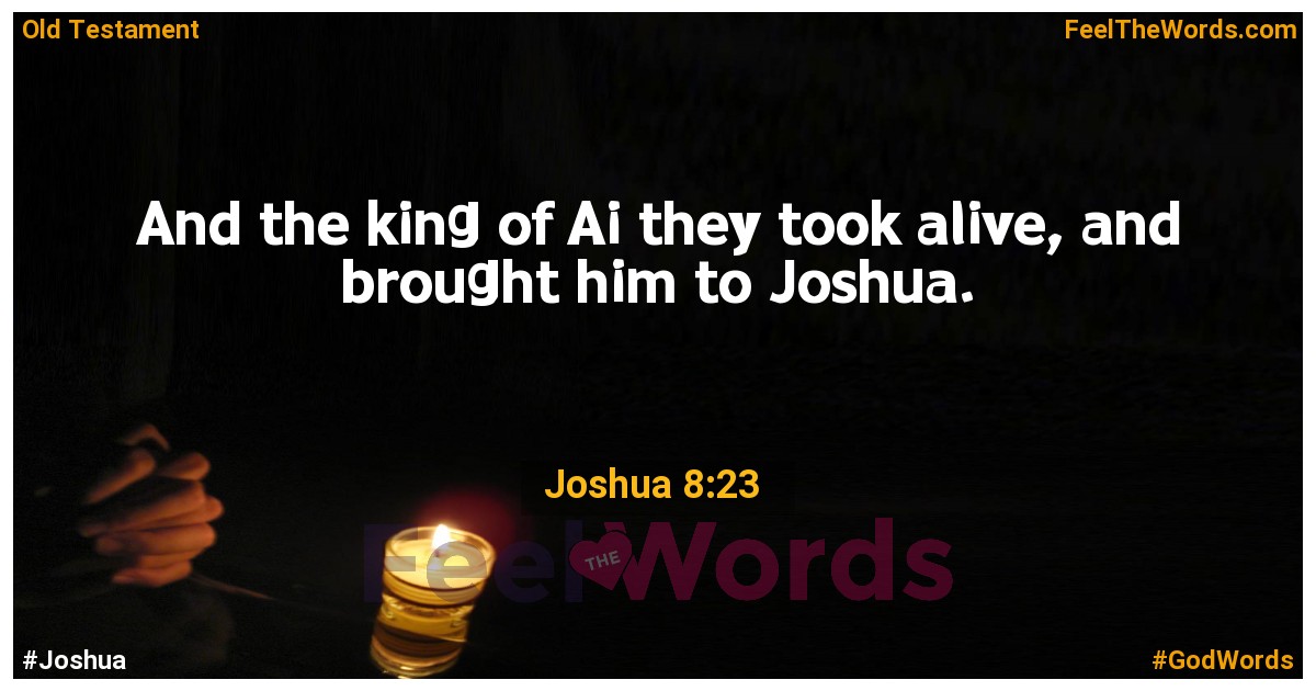 Joshua 8:23