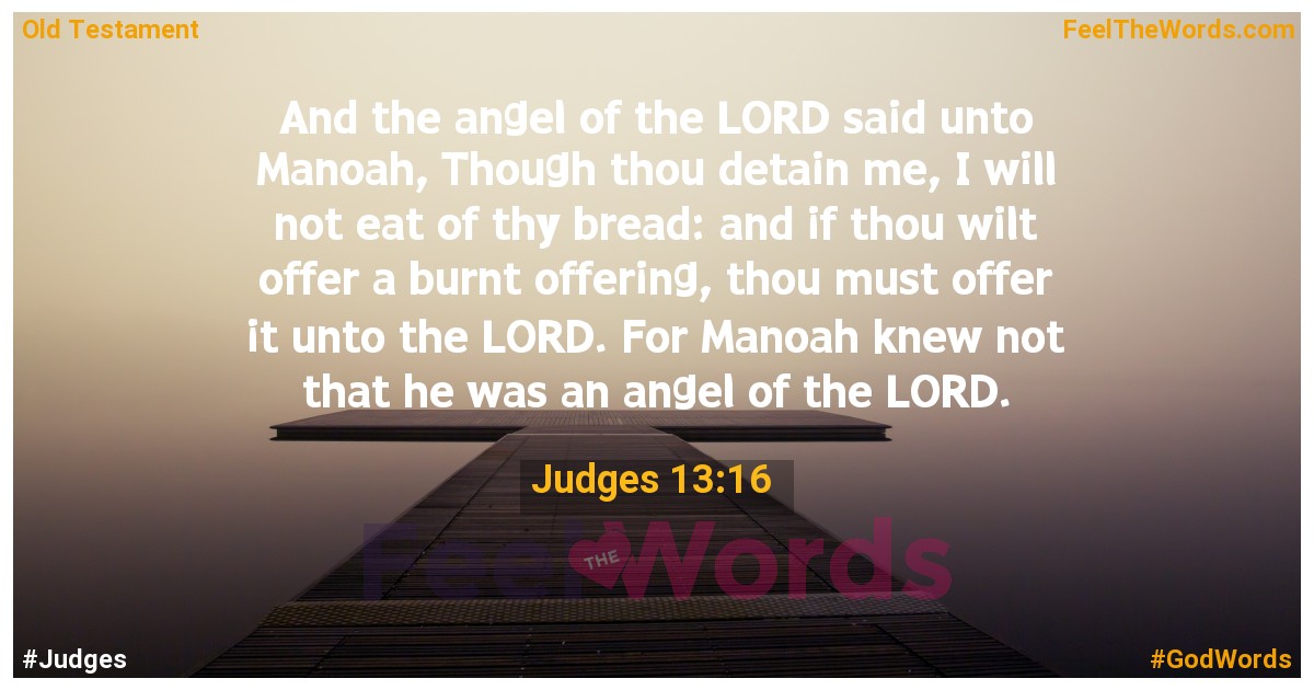 Judges 13:16
