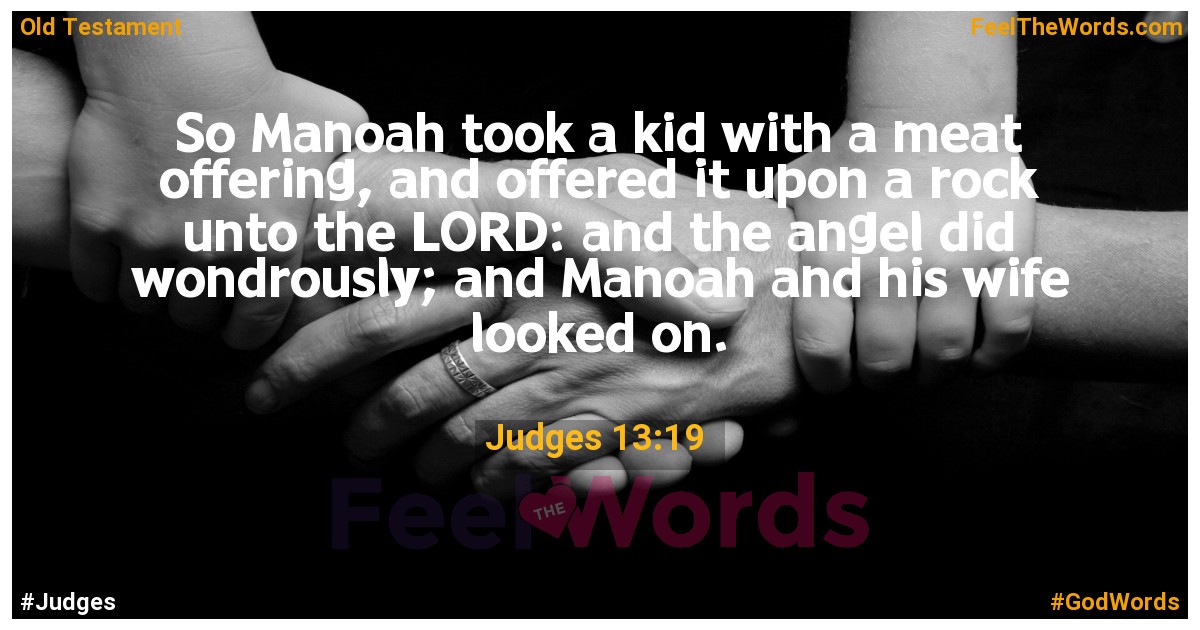 Judges 13:19
