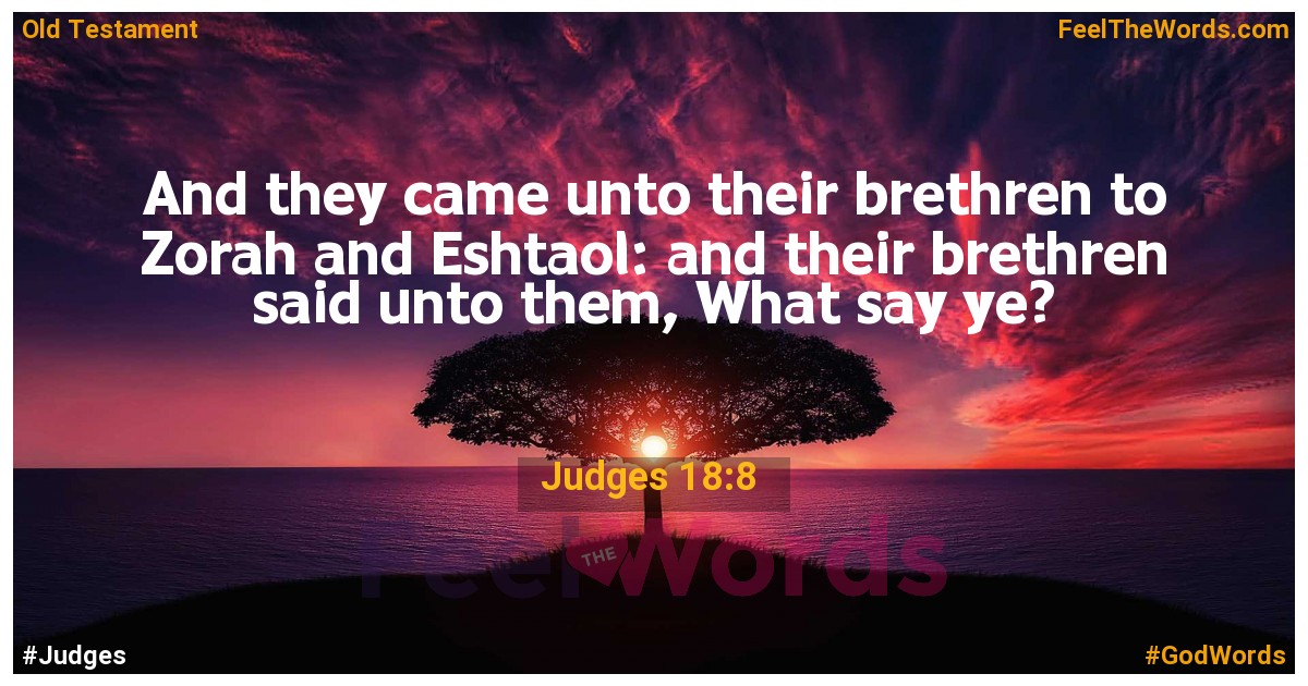 Judges 18:8