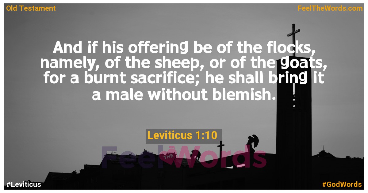 Leviticus 1:10