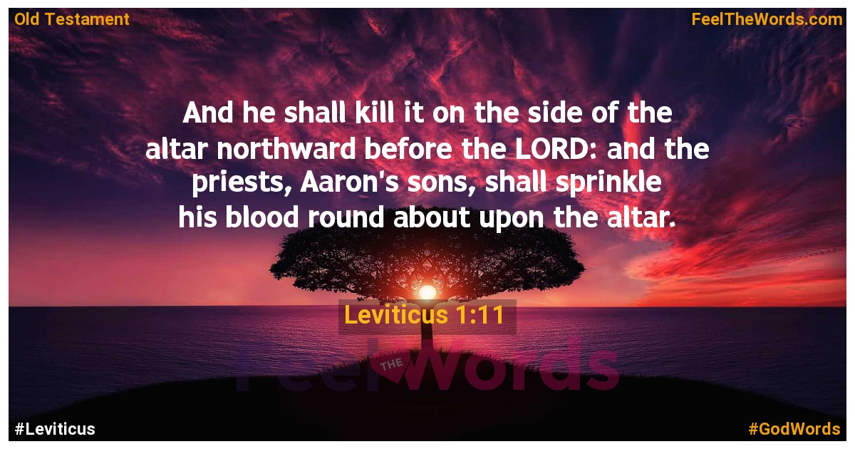 Leviticus 1:11