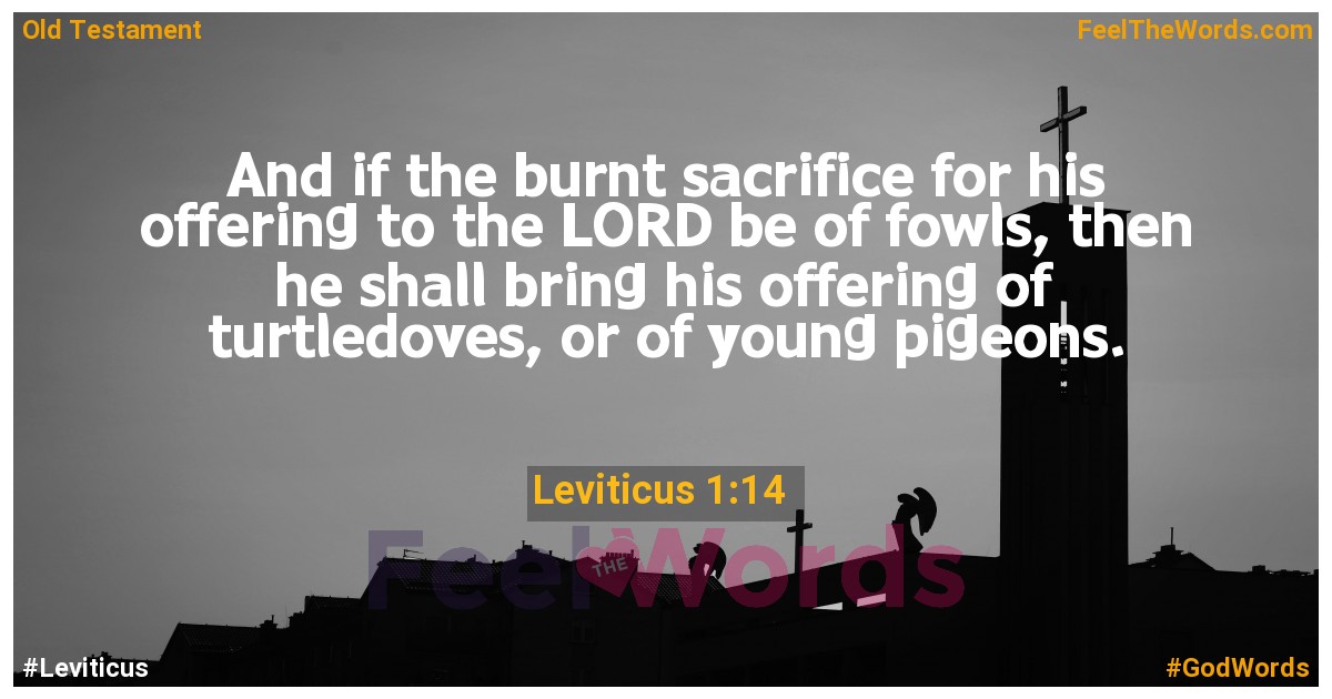 Leviticus 1:14