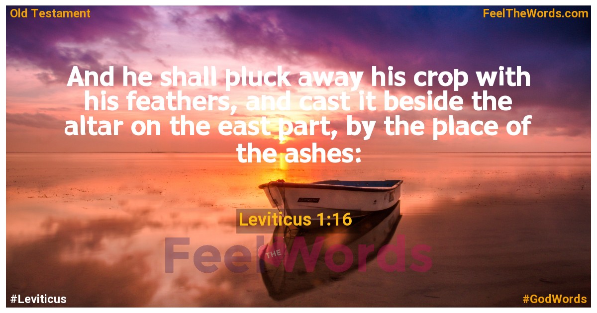 Leviticus 1:16