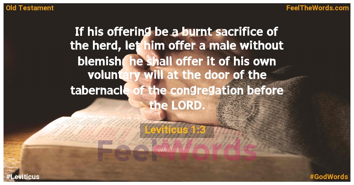 Leviticus 1:3