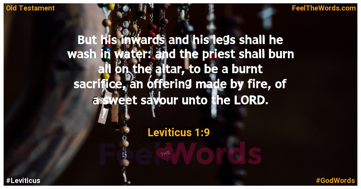 Leviticus 1:9