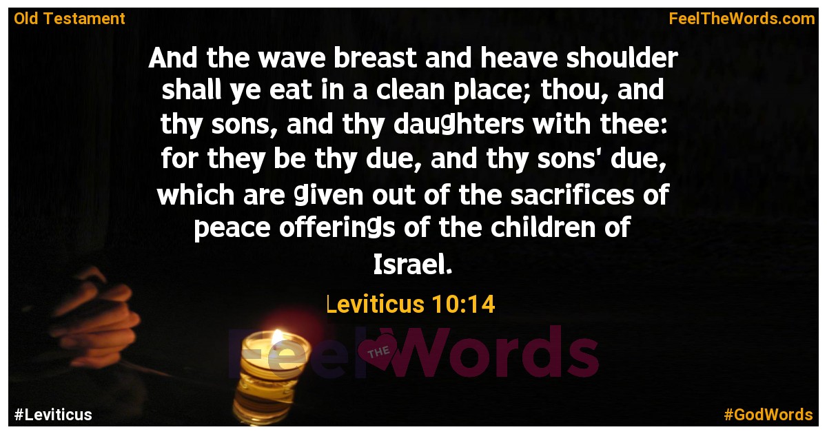 Leviticus 10:14