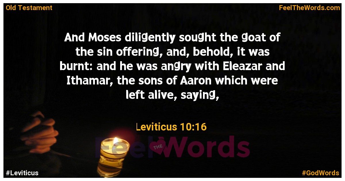 Leviticus 10:16