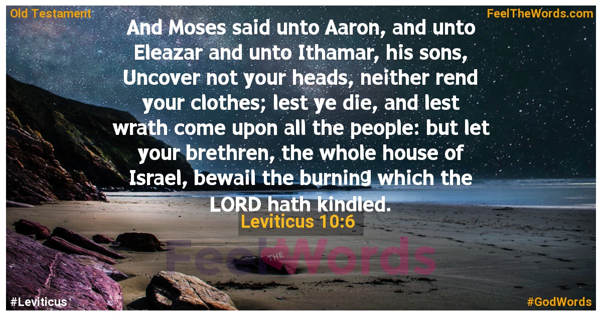 Leviticus 10:6