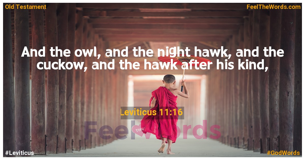 Leviticus 11:16
