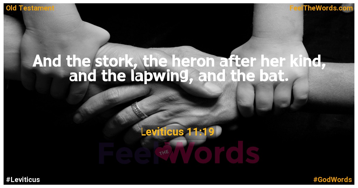 Leviticus 11:19