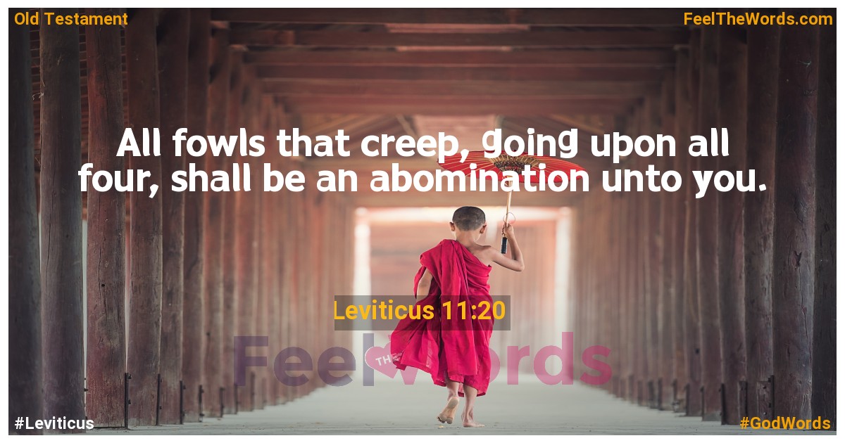 Leviticus 11:20