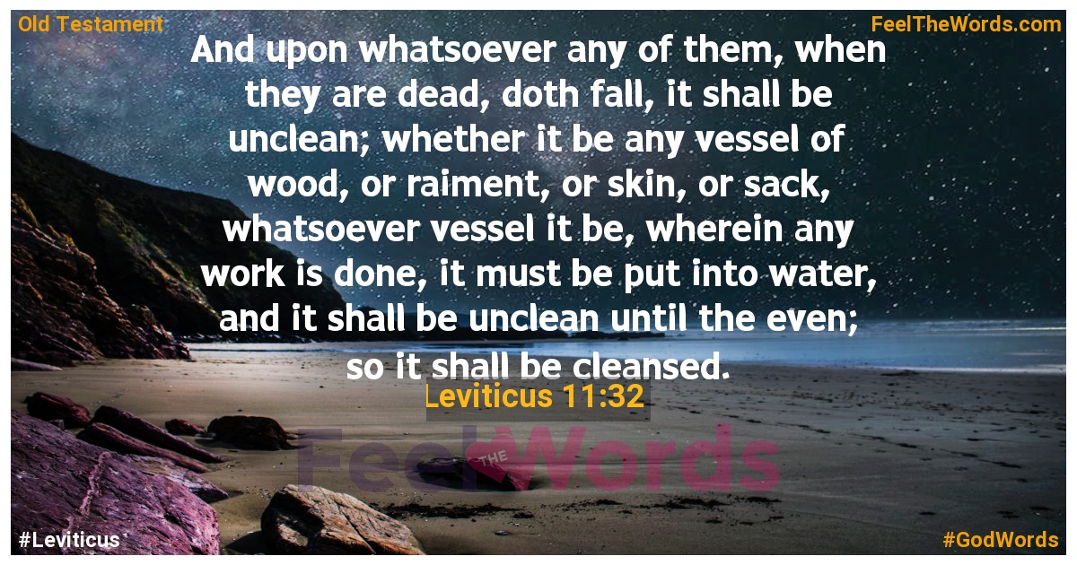 Leviticus 11:32