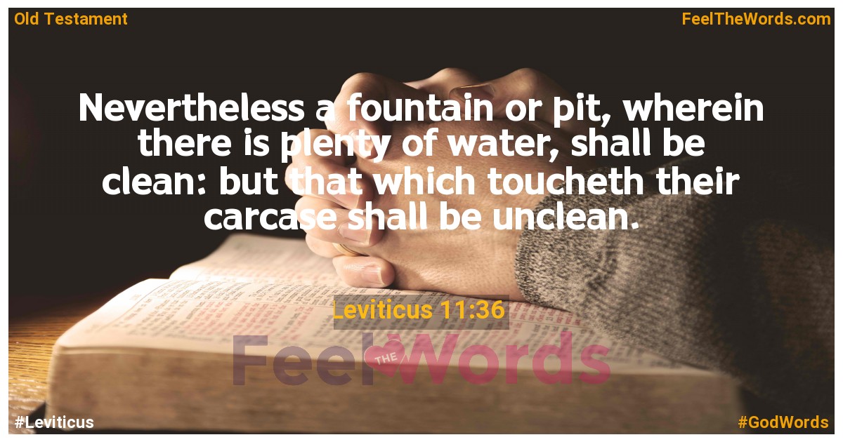 Leviticus 11:36