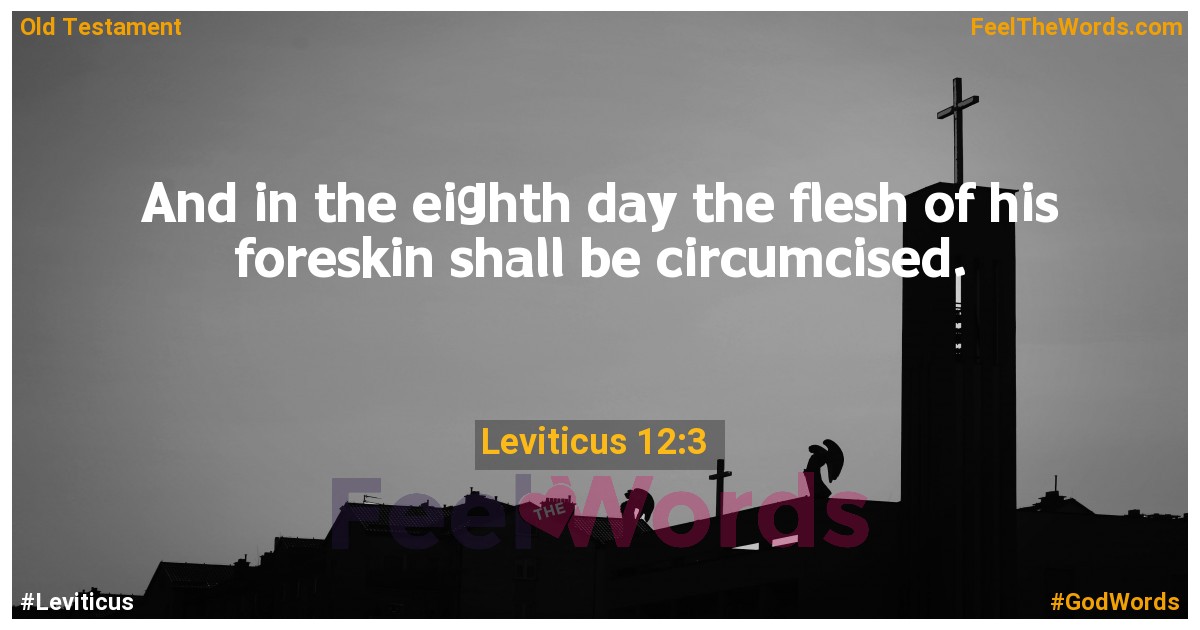 Leviticus 12:3