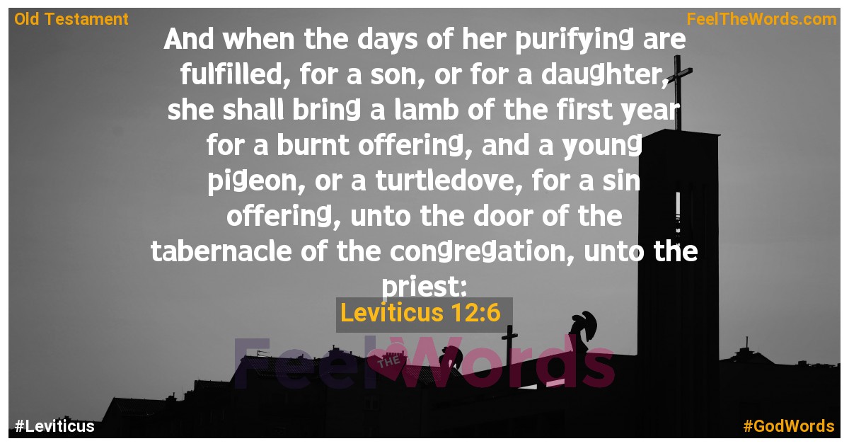 Leviticus 12:6
