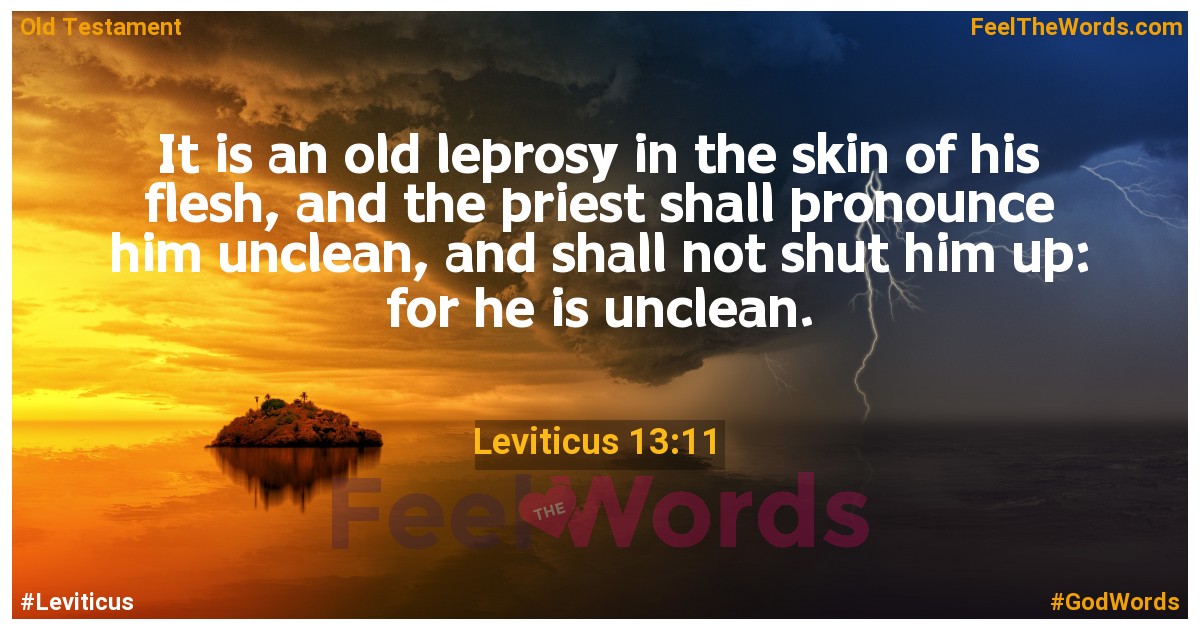 Leviticus 13:11
