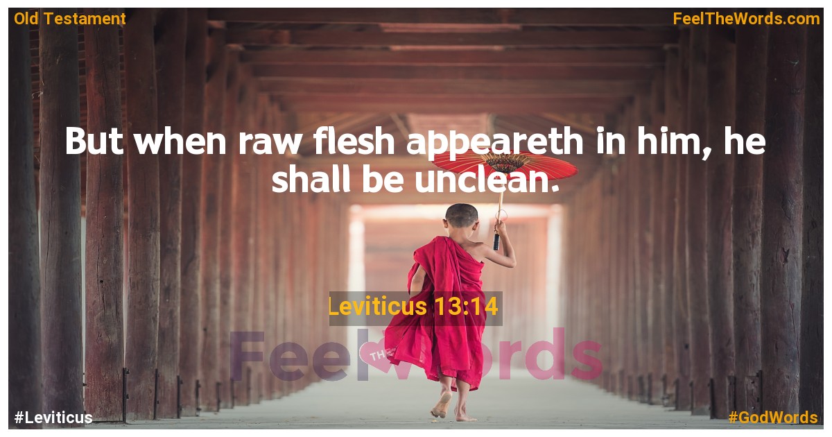 Leviticus 13:14